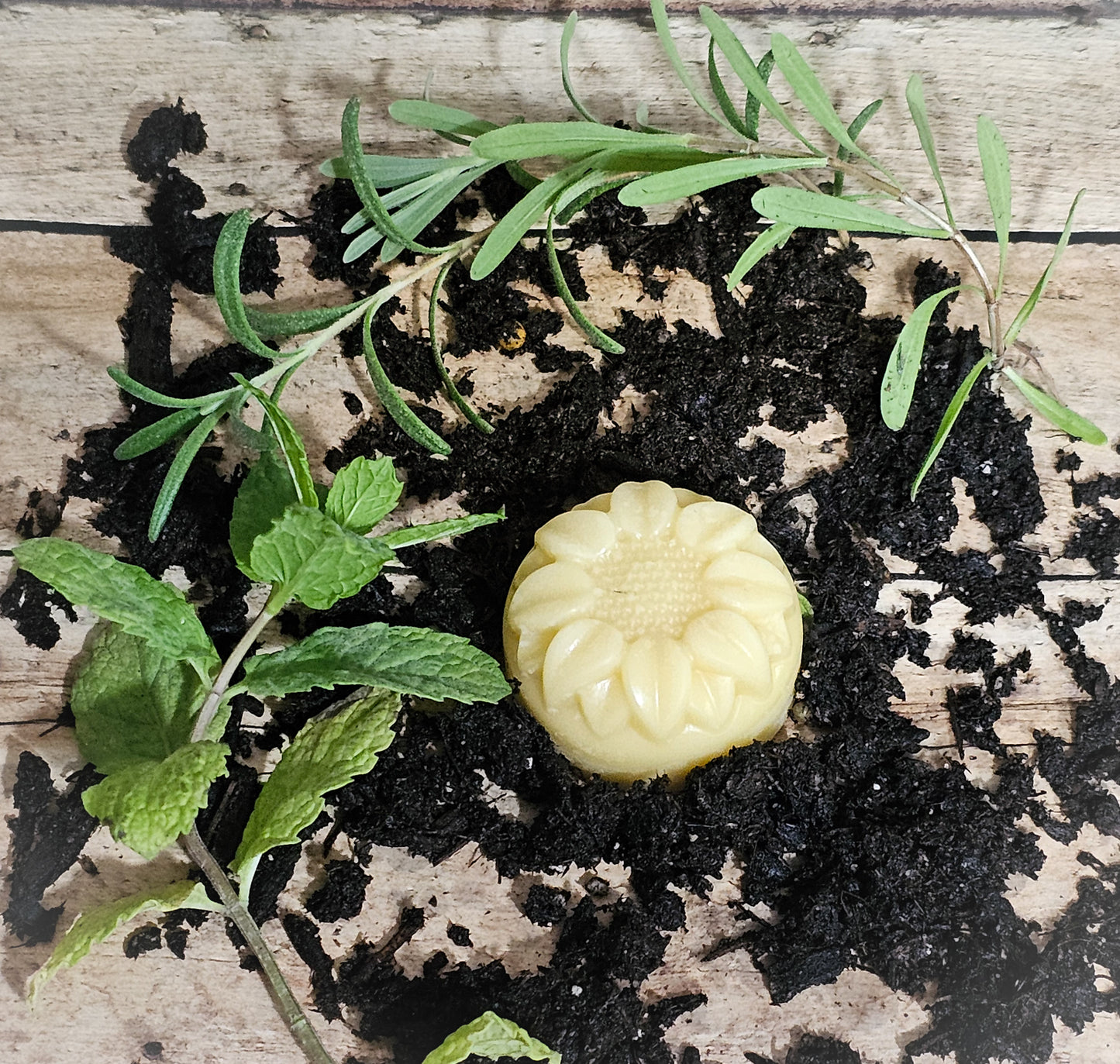 1oz Lotion Bar